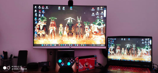 Switch Pro Controller